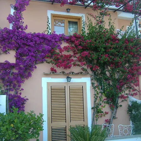 كونكا دأورو 4*